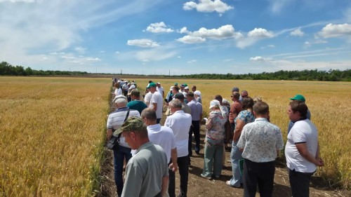 Cеминар " Сорта и технологии озимых и яровых культур"